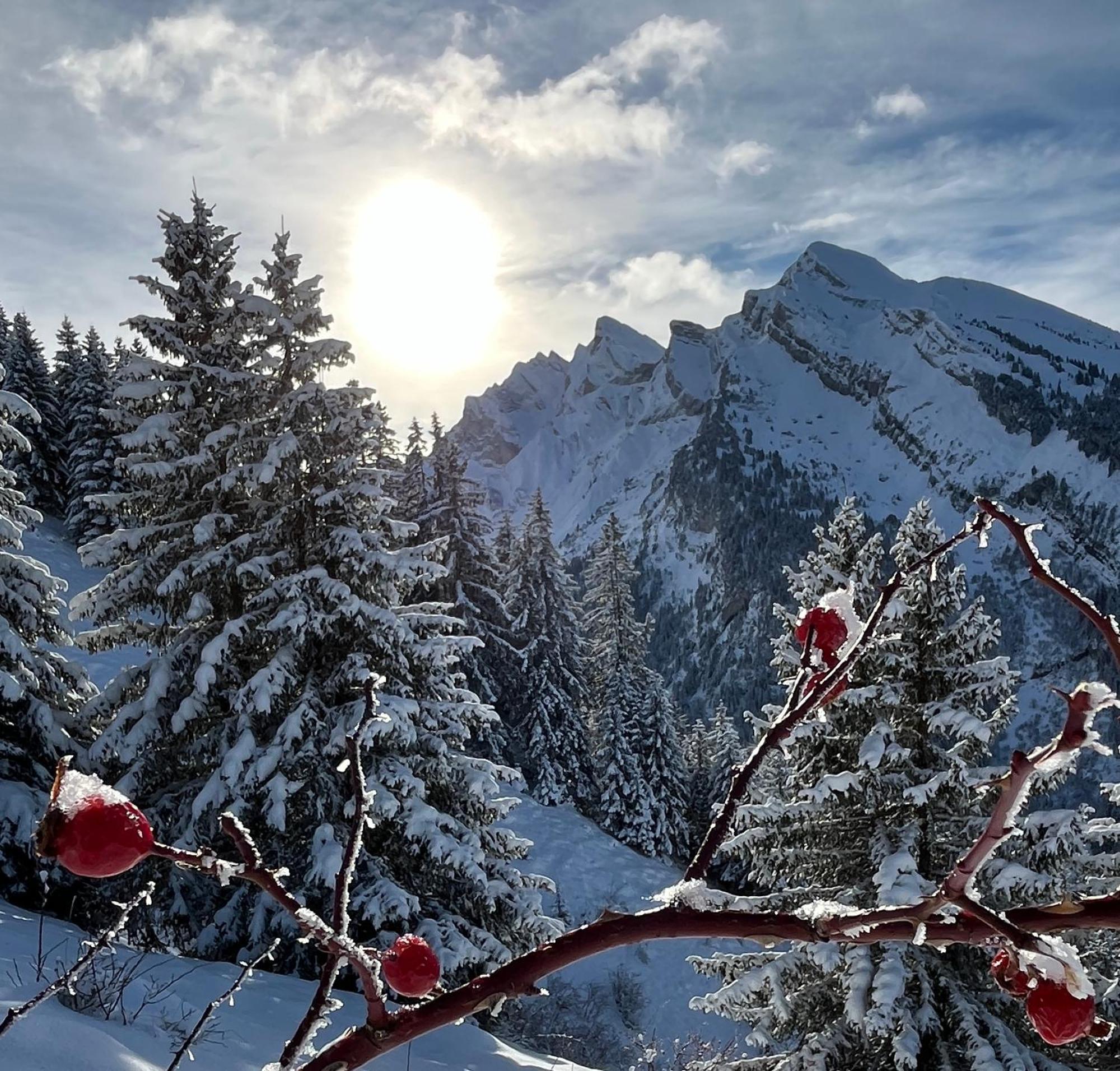 Lapreski 4 Etoiles, Ambiance Chalet, Annecy, La Clusaz * Thones